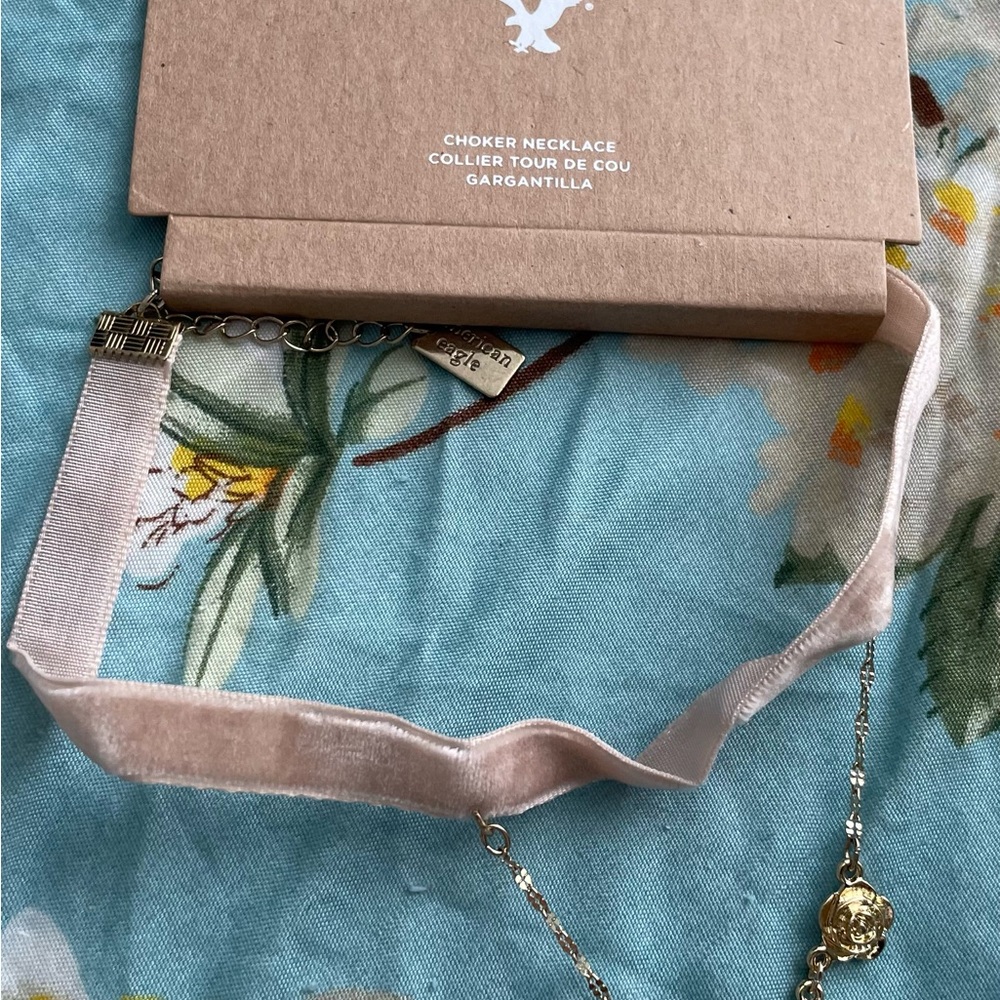 American Eagle Outfitters AEO Pink Velvet Floral Choker Necklace